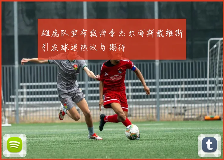 雄鹿队宣布裁掉奈杰尔海斯戴维斯引发球迷热议与期待