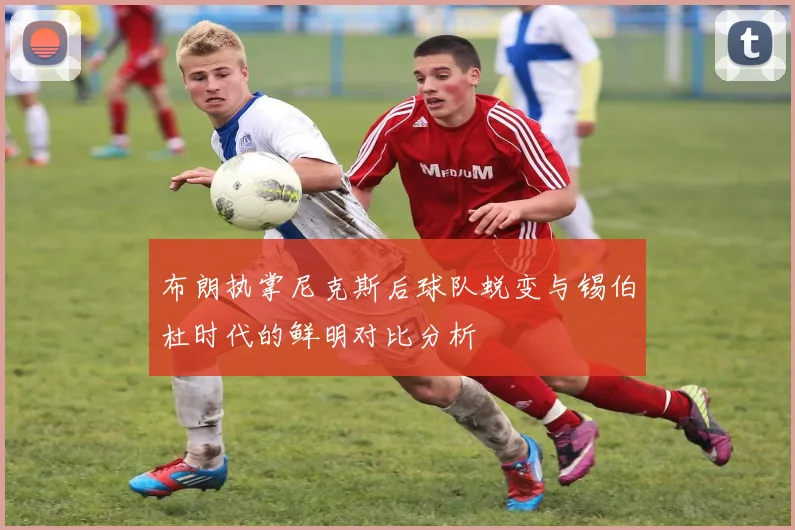 布朗执掌尼克斯后球队蜕变与锡伯杜时代的鲜明对比分析