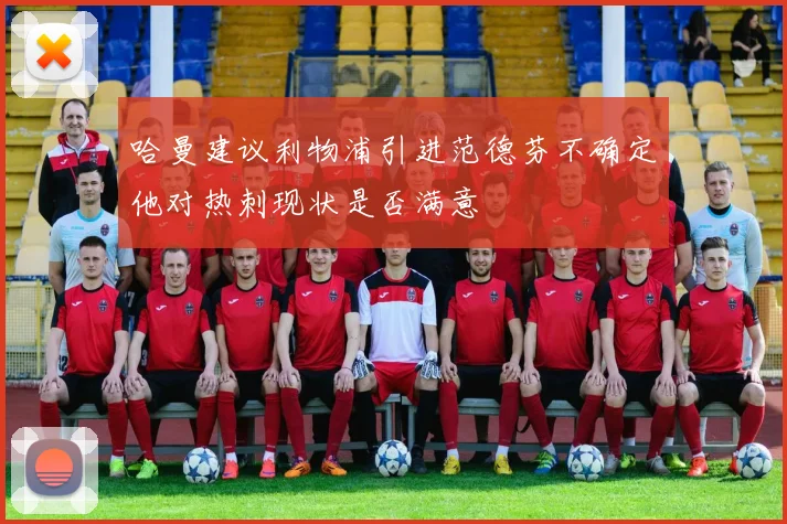 哈曼建议利物浦引进范德芬不确定他对热刺现状是否满意